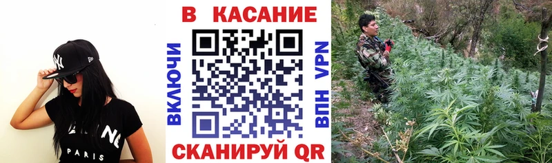 A PVP Опочка