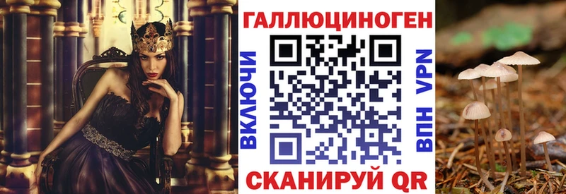 Галлюциногенные грибы Psilocybine cubensis Опочка