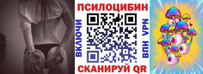 закладка  Опочка  Псилоцибиновые грибы GOLDEN TEACHER 